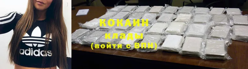 купить наркотик  Кимовск  Cocaine FishScale 