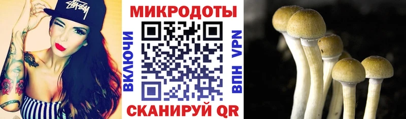 Псилоцибиновые грибы мицелий  Кимовск 