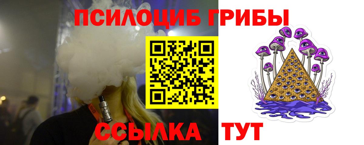Галлюциногенные грибы Psilocybine cubensis Кимовск